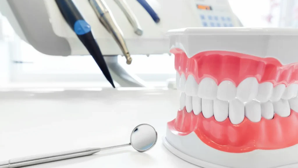 Jaw model with healthy teeth and dental examination tools